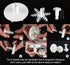 ilauke 6PCS Snowflake Cookie Cutters Decorating Fondant Embossing Tool Christmas Cookie Cutters Snowflake Plunger Cake Cutter...