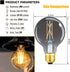 LEOOLS Dimmable LED Decorative G25 Globe Bulbs 6W,2700K Warm White,40 watt Equivalent Edison Bulb E26 Medium Base,Smoky Grey Glass,Flick-Free,CRI9...