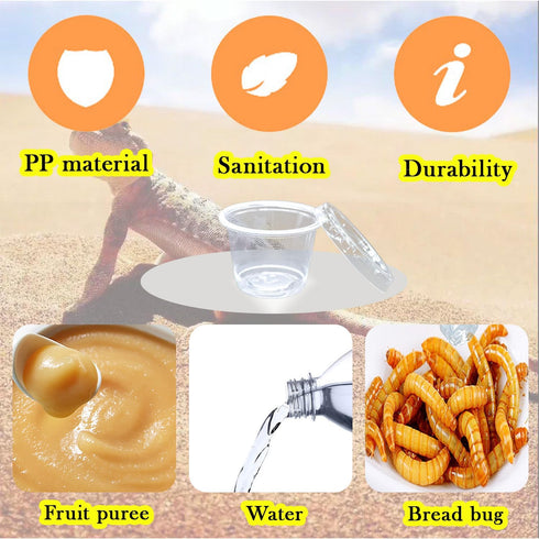 Small Reptile Food Plastic Replacement Cup Worm Water Dish Feeder Lizard Gecko Ceramic Pet Bowls with Tongs for Tortoise Lizard Bearded Dragon Fro...