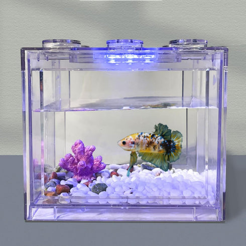 Betued Fish Light, Aquarium Light, Aquarium LED Light, Fish Accessories Planted LED Small Aquarium Water Plant Light Desktop Fish Mini Decoration ...