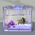 Betued Fish Light, Aquarium Light, Aquarium LED Light, Fish Accessories Planted LED Small Aquarium Water Plant Light Desktop Fish Mini Decoration ...
