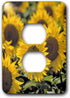 3dRose lsp_93335_6 North Dakota, Sunflowers in Cass County Us35 Rer0008 Ric Ergenbright Light Switch Cover...