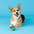 Fringe Studio Dog Toy, Life'S A Paw-Ty, Latex, Pet Shop Collection (366012)...