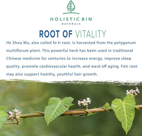 Japanese He Shou Wu Fo Ti Powder Potent Fermented Herbal Extract for Vitality | Wild Harvested in Japan | Pure Fo Ti for Hair Health Support | Ant...