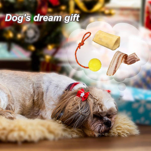 2 Pack Dog Ball, K9 Ball, Solid Rubber Ball on Rope for Reward, Fetch, Play (7cm)...