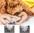 Dog Nail Grinder, Upgraded Pet Cat Dog Nail Trimmers Clippers Kit, 2 Speed Rechargeable Electric Pet Nail Grinder Quiet Low Noise Grooming & Smoot...