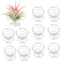 10 Pcs Air Plant Holder Tillandsia Metal Spring Stand Metal Holder Tabletop Planter Display...