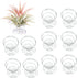 10 Pcs Air Plant Holder Tillandsia Metal Spring Stand Metal Holder Tabletop Planter Display...