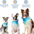 SCENEREAL Summer Dog Bandana, Double Side Dog Scarf for Small Medium Large Dogs Cats Puppy, Holiday Bandanas for Dogs Boys Girls, Premium & Soft F...