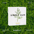 Simply Gum | Fennel | Plant- Based Chewing Gum | Pack of Six (90 Pieces Total) | Synthetic Plastic Free + Aspartame Free + non GMO...