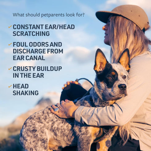 Veterinary Formula Clinical Care Ear Therapy Wipes, 100ct – Cat and Dog Ear Cleaner – Help Relieve Itchy Ears Quickly & Effectively Remove Dirt, D...