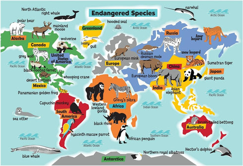 Skullduggery Endangered Species Puzzle...