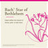 Bach Original Flower Remedies, Star of Bethlehem for Grief and Shock (Non-Alcohol Formula), Natural Homeopathic Flower Essence, Vegan, 10mL Droppe...
