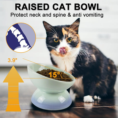 Ceramic Raised Cat Bowls, Tilted Elevated Food or Water Bowl for Cats and Small Dogs, Stress Free Whisker Friendly Porcelain Pet Bowl Dish, Dishwa...