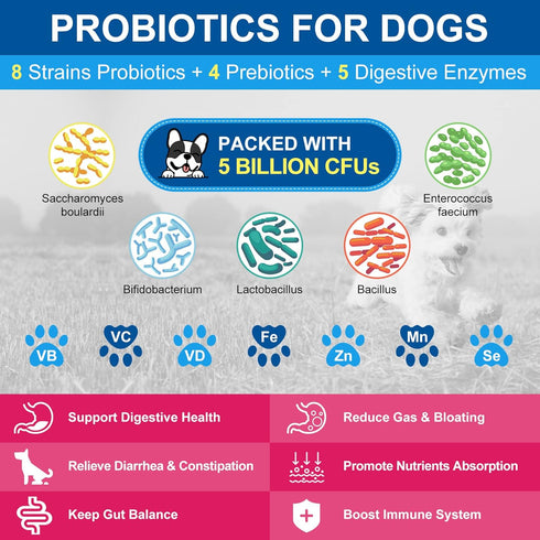 Dog Vitamins Powder, Probiotics & Digestive Enzymes for Gut Health, Glucosamine & Chondroitin & Omega 3, Complete Supplement for Homemade Dog Food...