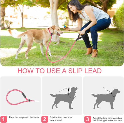 Slip Lead 6 FT for Medium and Large Dogs,Puppy Dog Training Leash Heavy Duty,No Pull Reflective Nylon Dog Leash,Rope Training Leash for Dogs That ...