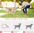 Slip Lead 6 FT for Medium and Large Dogs,Puppy Dog Training Leash Heavy Duty,No Pull Reflective Nylon Dog Leash,Rope Training Leash for Dogs That ...