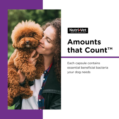 Nutri-Vet Probiotics Capsules for Dogs | Supports Digestive Health | For All Size Dogs | Promotes Healthy Immune System | Vet Formulated | 60 Coun...