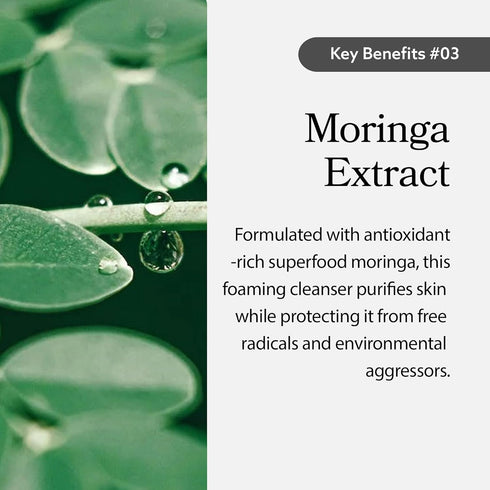 Tabitha Deep Moisture Foaming Cleanser, Low-pH, Hydrating, Gentle Face Wash with Moringa Extract, Korean Skincare, Fragrance-Free, 5.07 fl.oz...