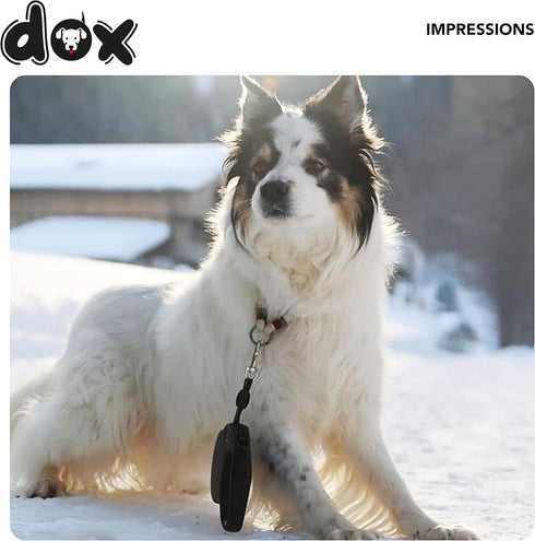 DDOXX Retractable Dog Leash - Strong Reflective Nylon Strips with Break & Lock system - S (Blue)...