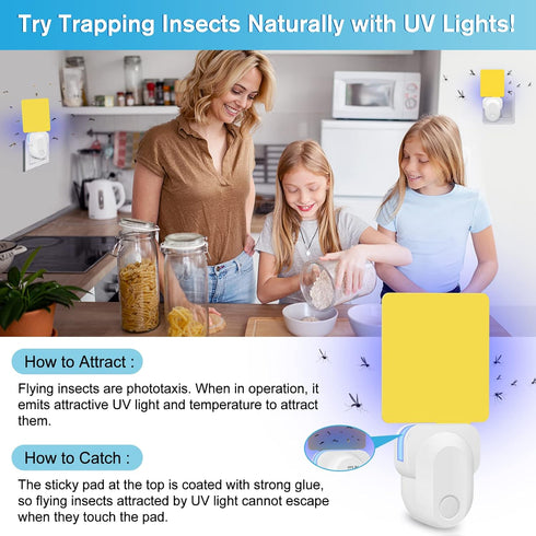 Flying Insect Trap Plug-in, Gnat Killer Traps for House Indoor, Safe Non-Toxic UV Light Fly Catcher, Indoor Plug-in Night Light Fly Trap with 5 St...