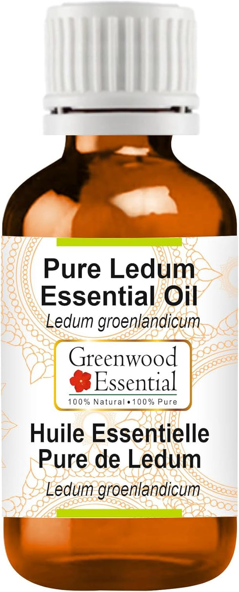 Pure Ledum Essential Oil (Ledum groenlandicum) Steam Distilled 15ml (0.50 oz)...