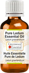Pure Ledum Essential Oil (Ledum groenlandicum) Steam Distilled 15ml (0.50 oz)...