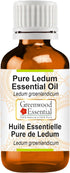 Pure Ledum Essential Oil (Ledum groenlandicum) Steam Distilled 15ml (0.50 oz)...