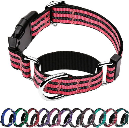 Martingale Dog Collars Reflective Nylon Dog Collar with Quick Release Buckle Adjustable Training No Slip Dog Collar (Large, Cherry Pink)...
