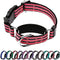 Martingale Dog Collars Reflective Nylon Dog Collar with Quick Release Buckle Adjustable Training No Slip Dog Collar (Large, Cherry Pink)...