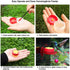 Hummingbird Feeder for Window Small Handheld Bird Flower Feeders with Perch Cleaning Brush (2 Pack)...
