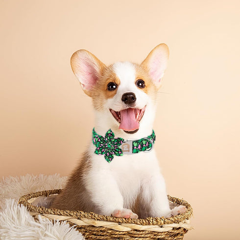 MR. CHUBBYFACE St.Patrick's Day Clover Dog Collar,Pink Green Clovers Adjustable Dog Collar with Flower Tie for Small Medium Large Dogs,M...