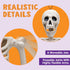 JOYIN 3 PCS Halloween Hanging Skeletons 16" Full Body Posable Joints Movable Plastic Bones for Halloween Party Outdoor Indoor Decor, Yard Patio La...