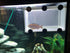 Large Breeder Net for Fish Tank Fish Hatchery Separation Net Mesh Fish Breeding Box with Suction Cup for Aquarium...