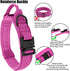 Tactical Dog Collar Heavy Duty Metal Buckle with Handle for Dog Training (Pink, M)...