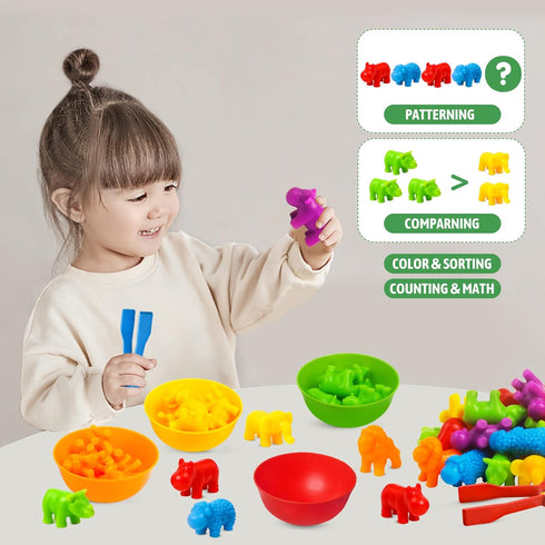 RAEQKS Counting Sorting Toys Matching Stacking Toys with Bowls Preschool Learning Activities Educational Sensory Game Montessori STEM Toy Daycare ...