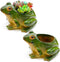 Set of 2 Frog Planter Resin Frog Flower Pot, Bonsai Pot/Flower Pot/Succulent Planter?Multipurpose Pot for Indoor Home Desk Decoration...