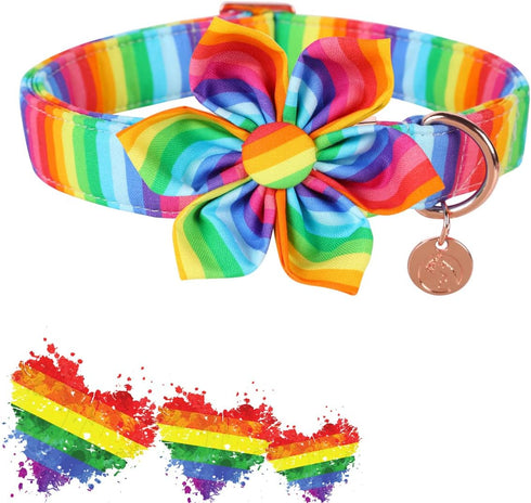 DOGWONG Cotton Pride Dog Collar, Rainbow LGBTQ Dog Collar Puppy Pet Collar for Small Medium Large Dog...