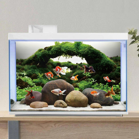 AWERT 72x18 inches Aquarium Background Green Algae Stone Aquarium Background Aquatic Plant River Bed & Lake Fish Tank Background Vinyl Background...