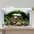 AWERT 72x18 inches Aquarium Background Green Algae Stone Aquarium Background Aquatic Plant River Bed & Lake Fish Tank Background Vinyl Background...