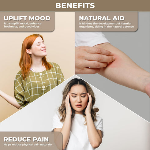 USDA Organic Bergamot Essential Oil for Diffuser | Therapeutic Grade for Aromatherapy | Skin, Hair, Body Massage | Therapeutic Grade Essential Oil...