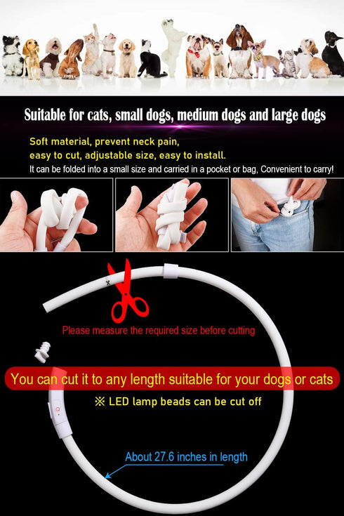 Waterproof LED Dog Collar USB Rechargeable Light Up Dog Collars Lights for Night Walking Lighted Safety Training & Behavior Aids for Small Medium ...