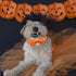 Fall Dog Collar, Pet Collar Dog Bow Orange Plaid Dog Collar Girl Boy Holiday Pet Dog Collar Gift Bow Dog Collar Cute Soft Puppy Collar for Large D...