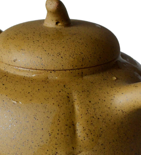Teapot 8oz Chinese Clay Zisha Tea Pots Yellow Zini Eggplant for Loose Tea Coffee (Yellow)...