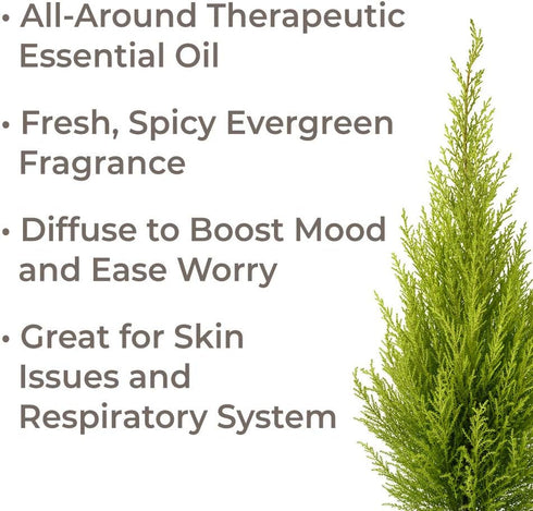 Plant Therapy Organic Cypress Essential Oil 10 mL (1/3 oz) 100% Pure, Undiluted, Therapeutic Grade...