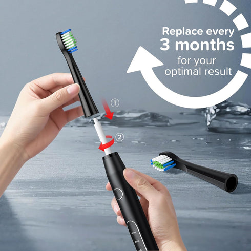 Replacement Toothbrush Heads 10 Pack Compatible with Bitvae Daily D2 Rechargeable Toothbrush, for D2 Toothbrush Heads Refills, Black...