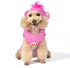 Halloween Cheer Bear Sleeveless Hoodie- 2XL - Cozy Hoodie for Dogs | Fun and Cute Halloween Costumes for Dogs| Officially Licensed Care Bears Pet ...