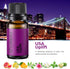 Scent of Adventure Essential Oils Set 6 Aromatherapy Diffuser Blends for Home Office Humidifier Car Fresheners Premium Grade Relaxation Scented Oi...