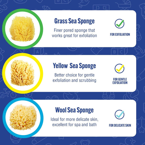 Baby Buddy Natural Yellow Sea Sponge, Newborn Bath Time Essential, Soft and Gentle for Tender Skin, Hypoallergenic and Biodegradable, 1 Pack...