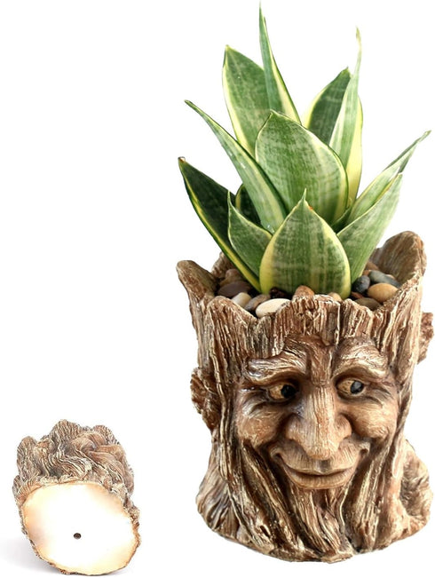 Funny Planter Head Face Plant Pot with Drainage Hole Resin Succulent Plant Holder Pencil Holder Desk Organizer Office Garden Gift (Smile Face)...